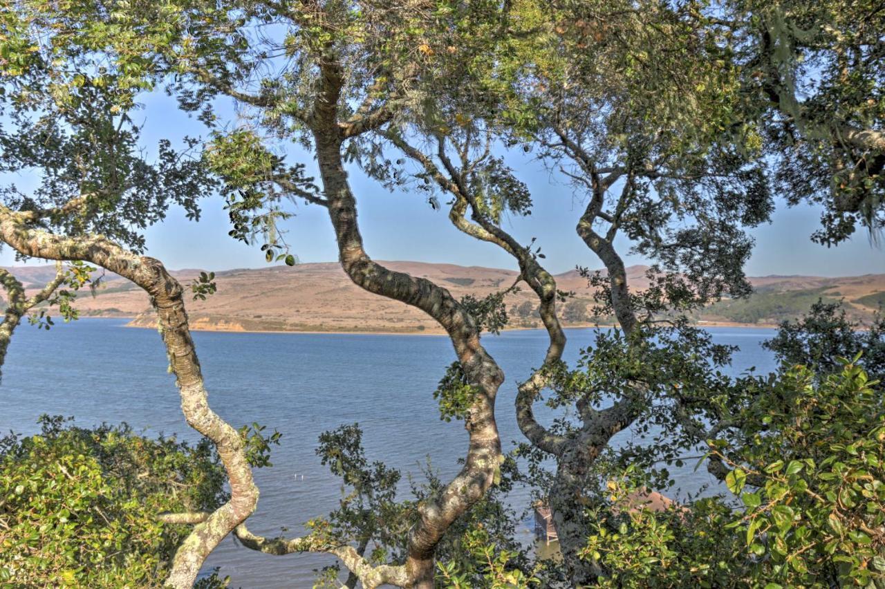 Hillside Home With Deck And Views Of Tomales Bay! Inverness Exterior foto